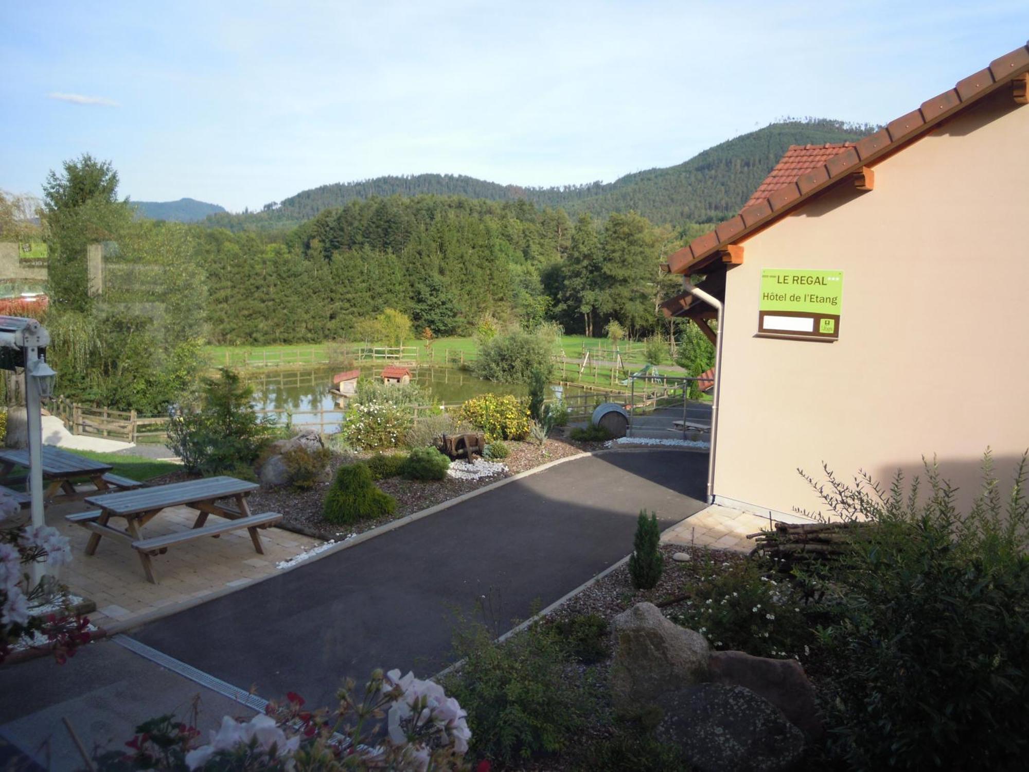 Hotel Restaurant Le Regal Saint-Die-des-Vosges Zewnętrze zdjęcie