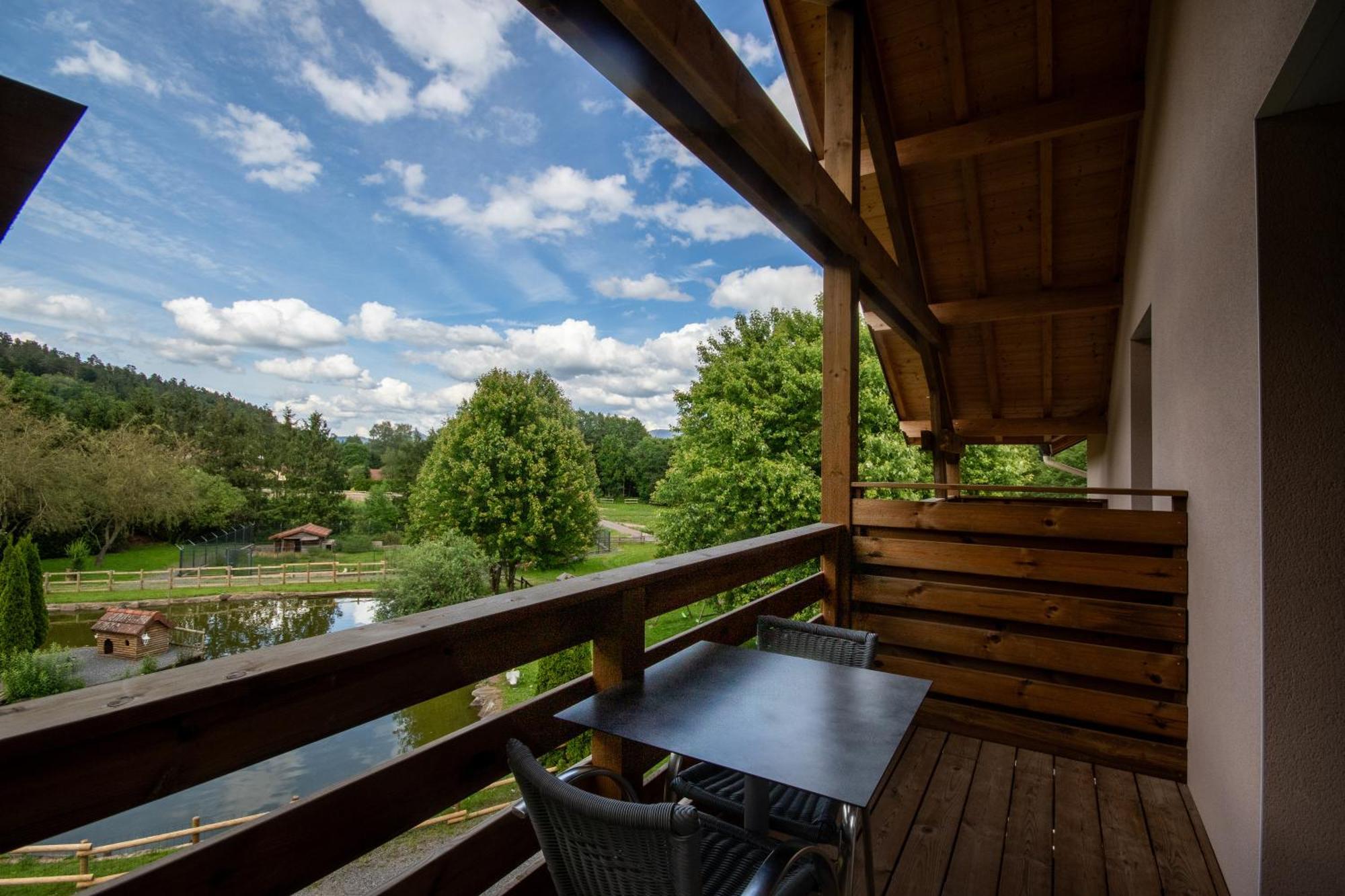 Logis Hotel Le Regal & Spa Saint-Die-des-Vosges Zewnętrze zdjęcie